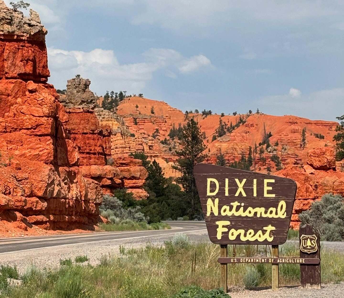 dixie forest